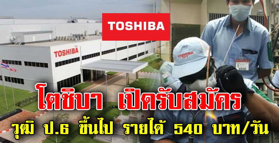 โตชิบา โลจิสติคส์ เปิดรับสมัคร วุฒิ ป.6 ขึ้นไป รายได้ 540 บาท/วัน (มีโอที)  ⋆ 2Benews.Com