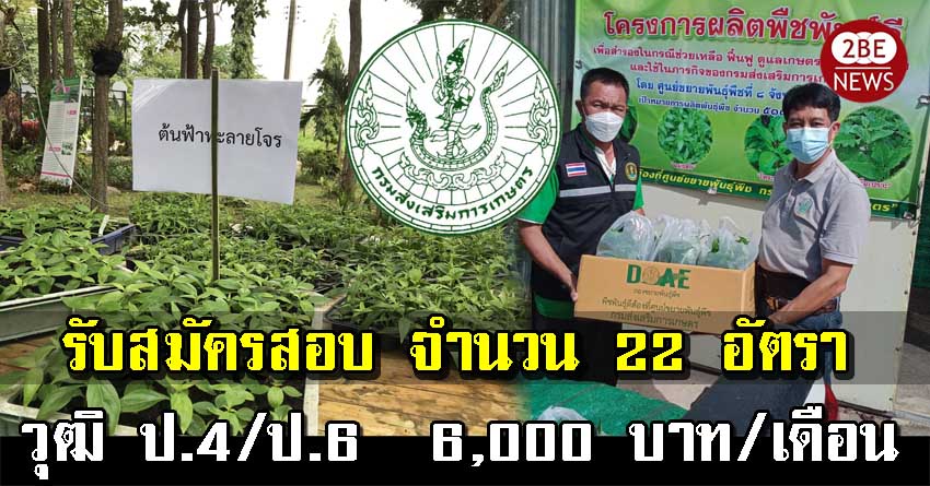 ศูนย์ขยายพันธุ์พืชที่ 8 รับสมัครสอบเพื่อจ้างเหมาบริการ จำนวน 22 อัตรา วุฒิ ป.4/ป.6 อัตราค่าตอบแทน 6,000 บาท/เดือน